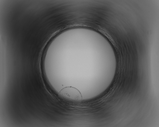 X0000097490534200802220842
