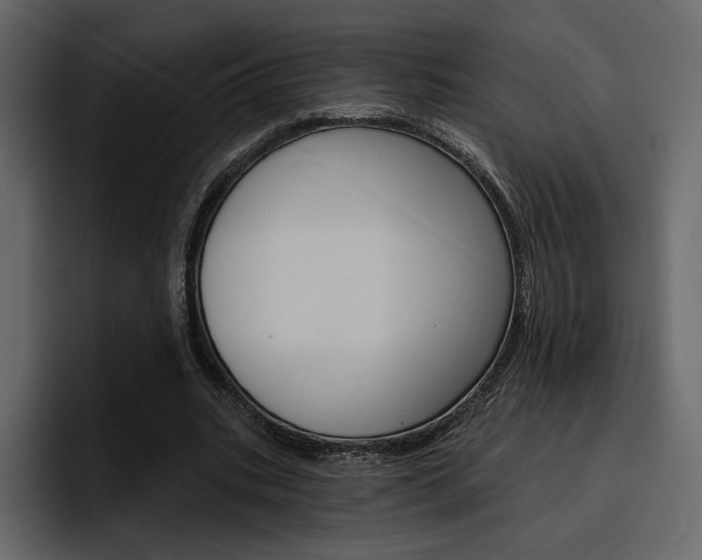 X0000097490535200802220842