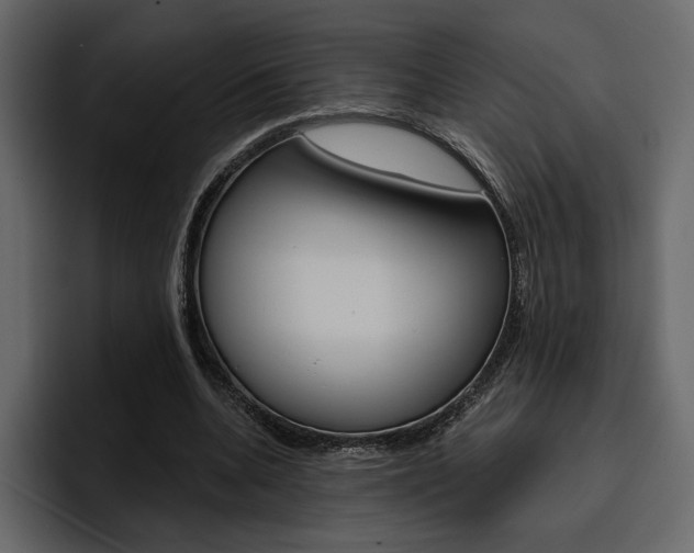 X0000097490536200802220842
