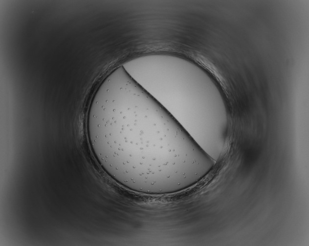 X0000097490537200802220842