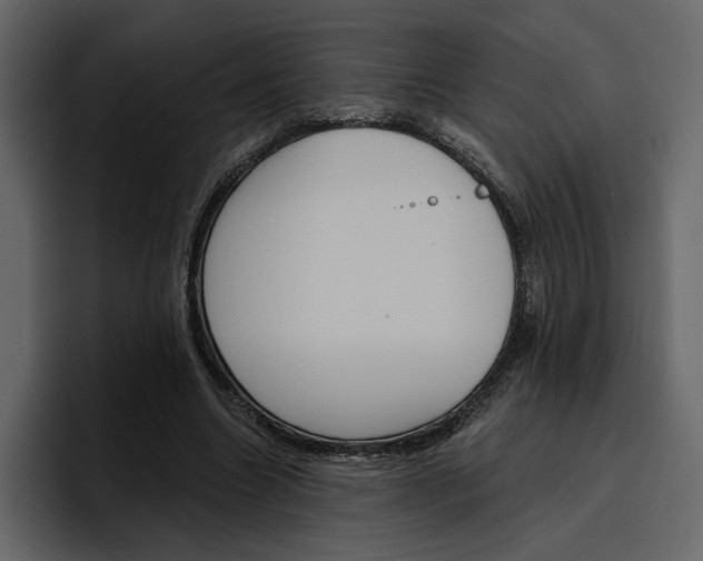 X0000097490538200802220842