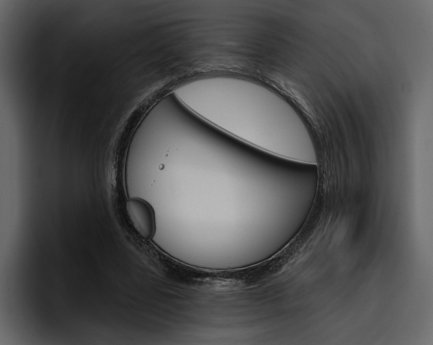 X0000097490539200802220842
