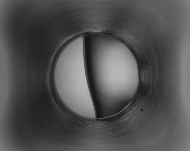 X0000097490540200802220842