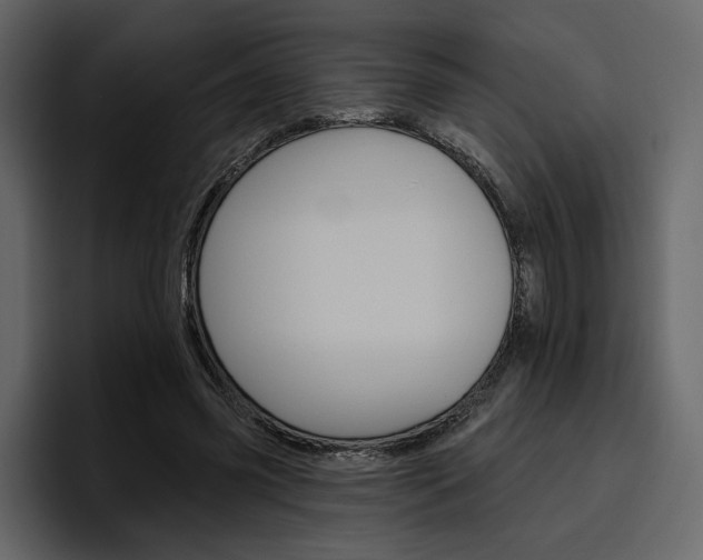 X0000097490541200802220842