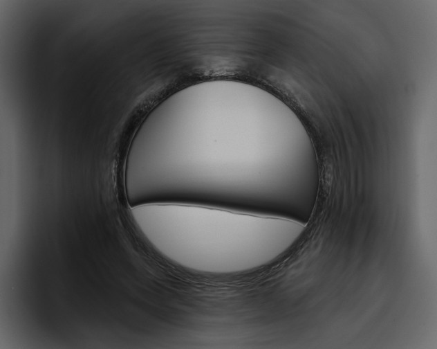 X0000097490543200802220842
