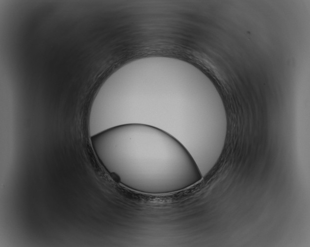 X0000097490546200802220842
