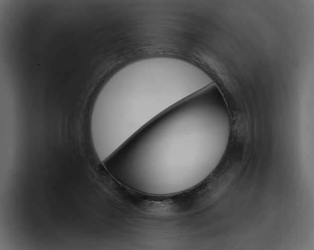 X0000097490548200802220842