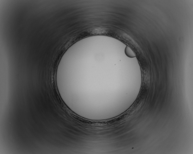 X0000097490549200802220842