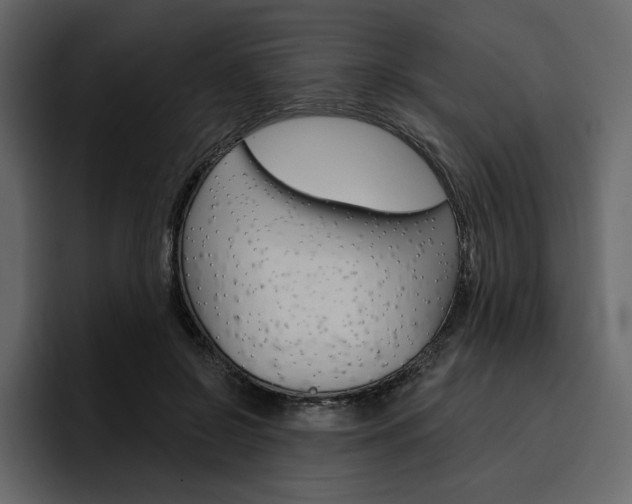 X0000097490550200802220842