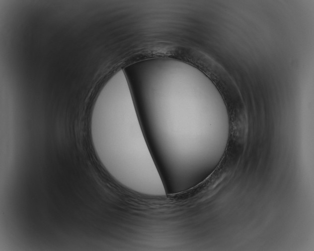 X0000097490552200802220842