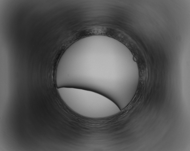 X0000097490553200802220842