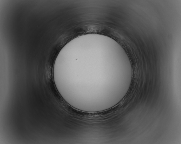 X0000097490554200802220842