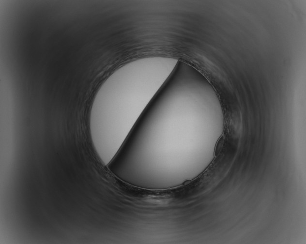 X0000097490556200802220843