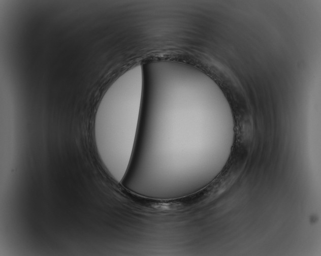 X0000097490558200802220843