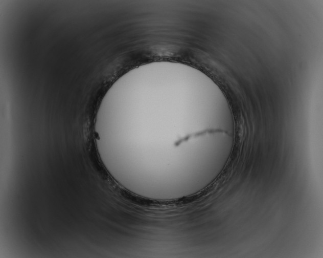 X0000097490559200802220843