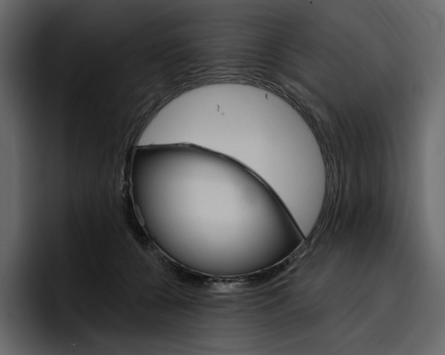 X0000097490560200802220843