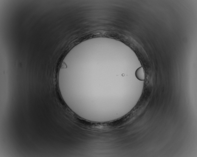 X0000097490561200802220843