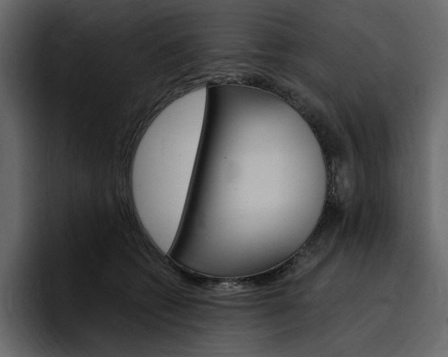 X0000097490562200802220843