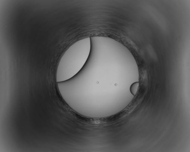 X0000097490565200802220843