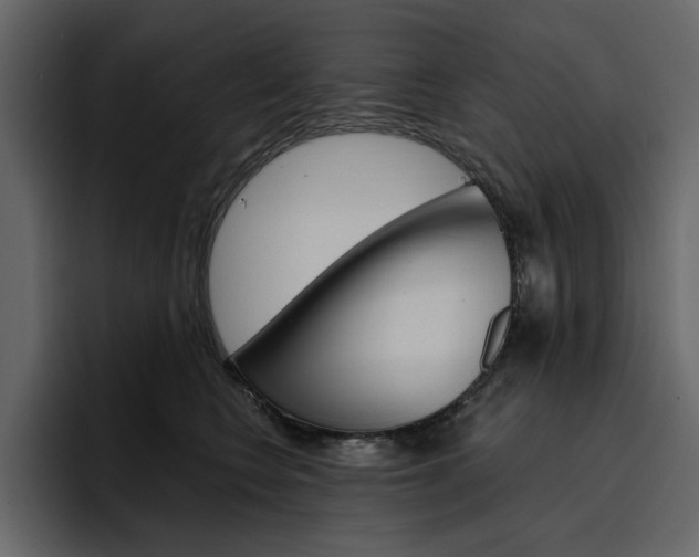 X0000097490566200802220843