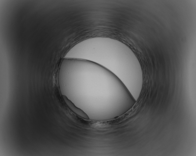 X0000097490568200802220843