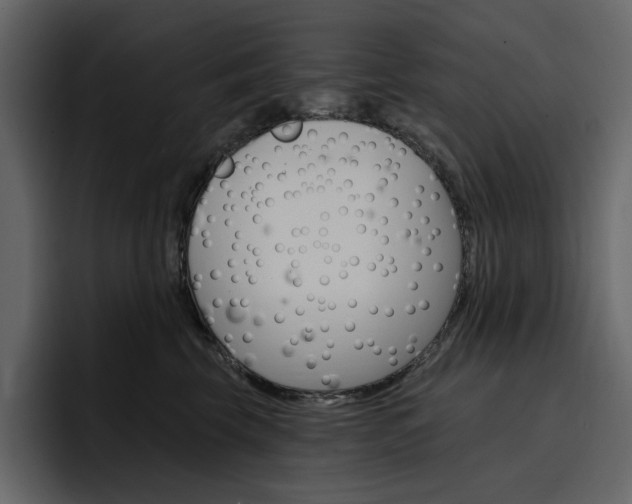 X0000097490569200802220843