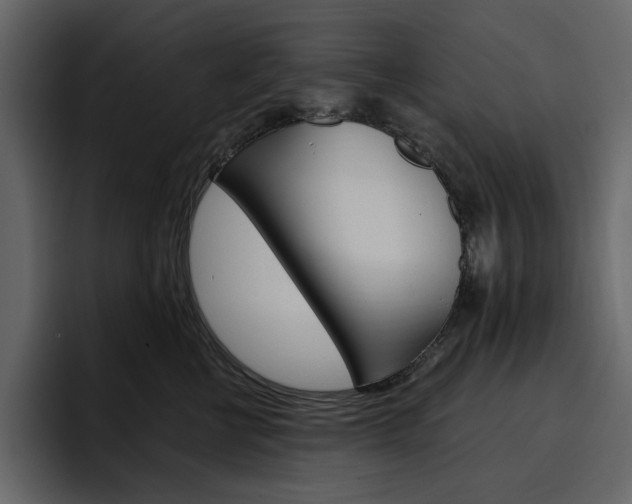 X0000097490570200802220843