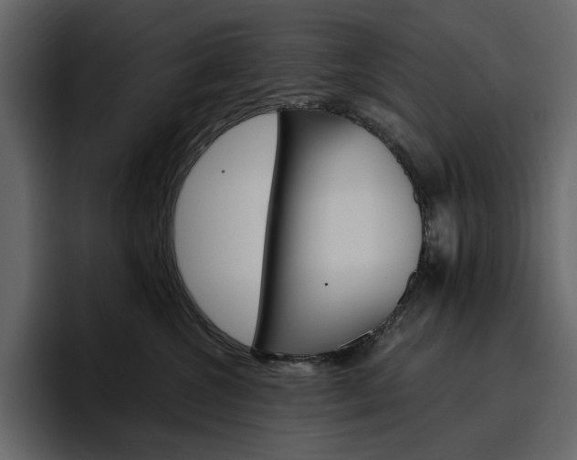 X0000097490572200802220843