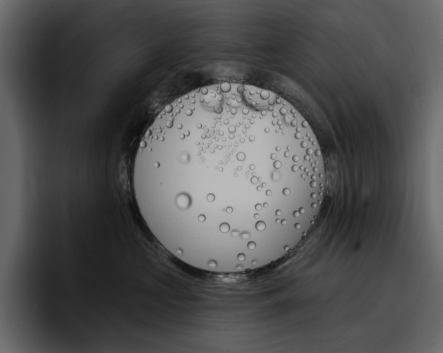 X0000097490573200802220843