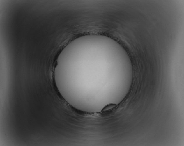 X0000097490576200802220843