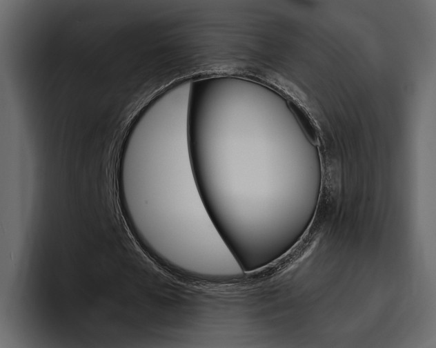 X0000097490577200802220842