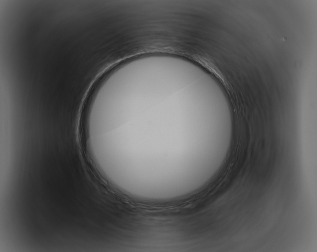 X0000097490579200802220842