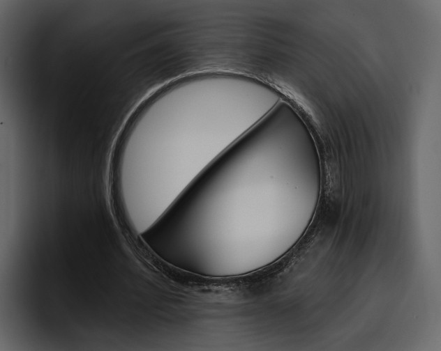 X0000097490580200802220842