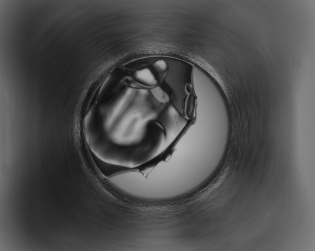 X0000097490581200802220842