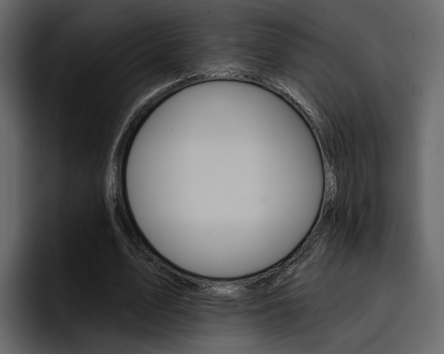 X0000097490583200802220842