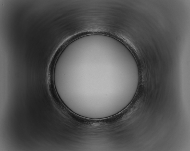 X0000097490584200802220842