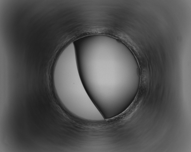 X0000097490585200802220842