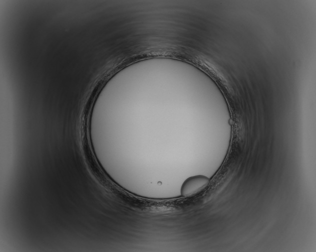 X0000097490586200802220842