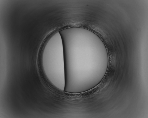 X0000097490587200802220842