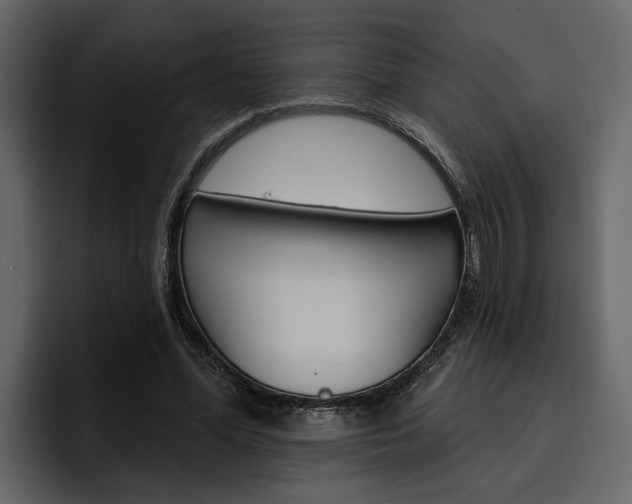 X0000097490588200802220842