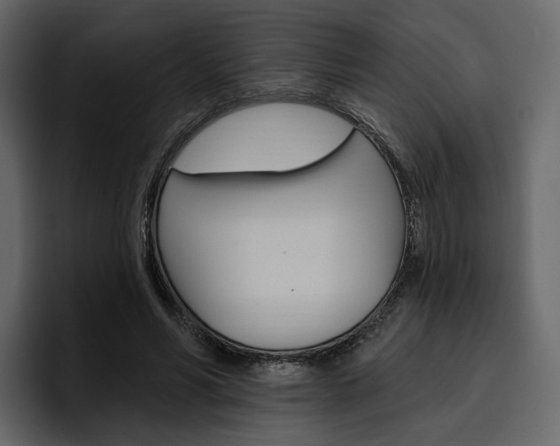 X0000097490590200802220842