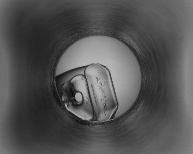 X0000097490593200802220842