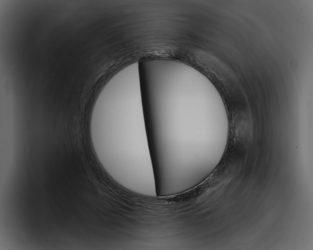 X0000097490595200802220842