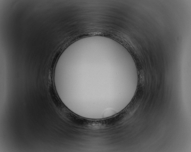 X0000097490598200802220842