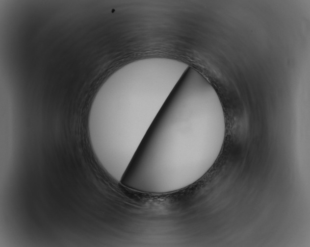 X0000097490599200802220842