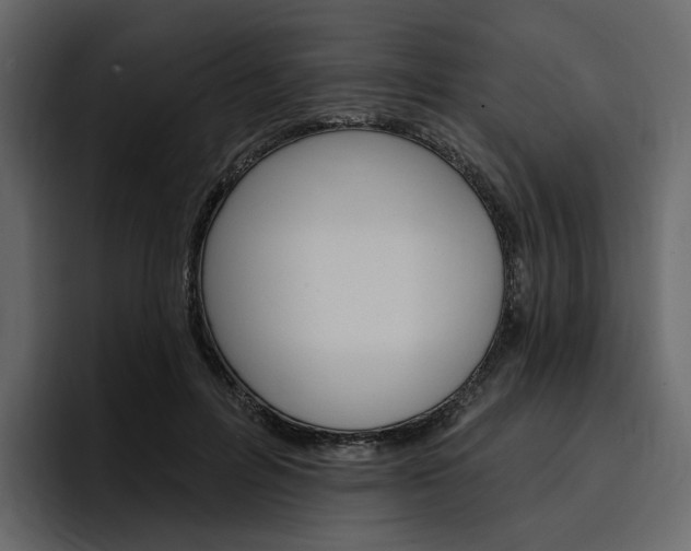 X0000097490600200802220842