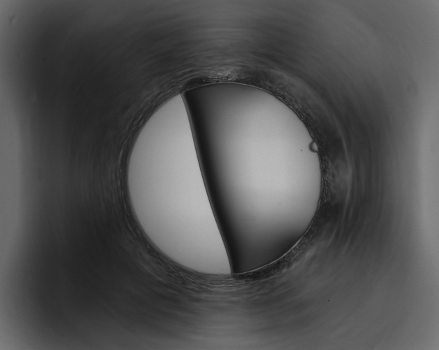 X0000097490601200802220842