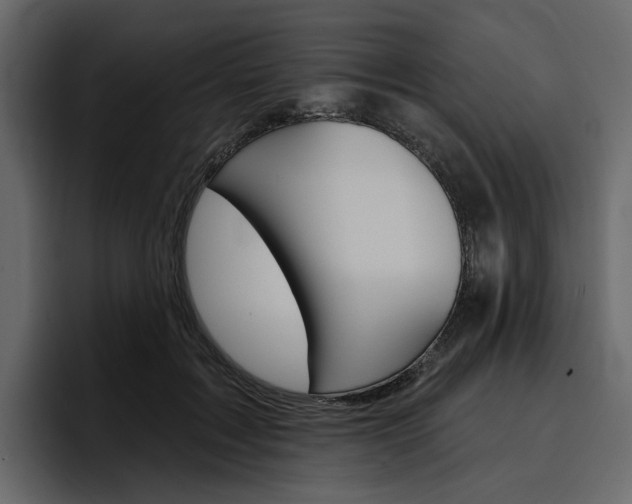 X0000097490603200802220842