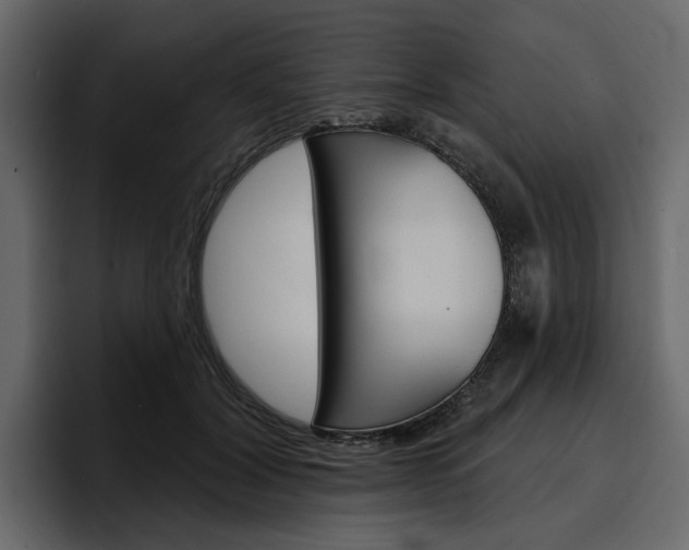 X0000097490604200802220842