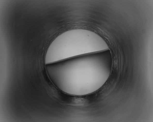 X0000097490605200802220842